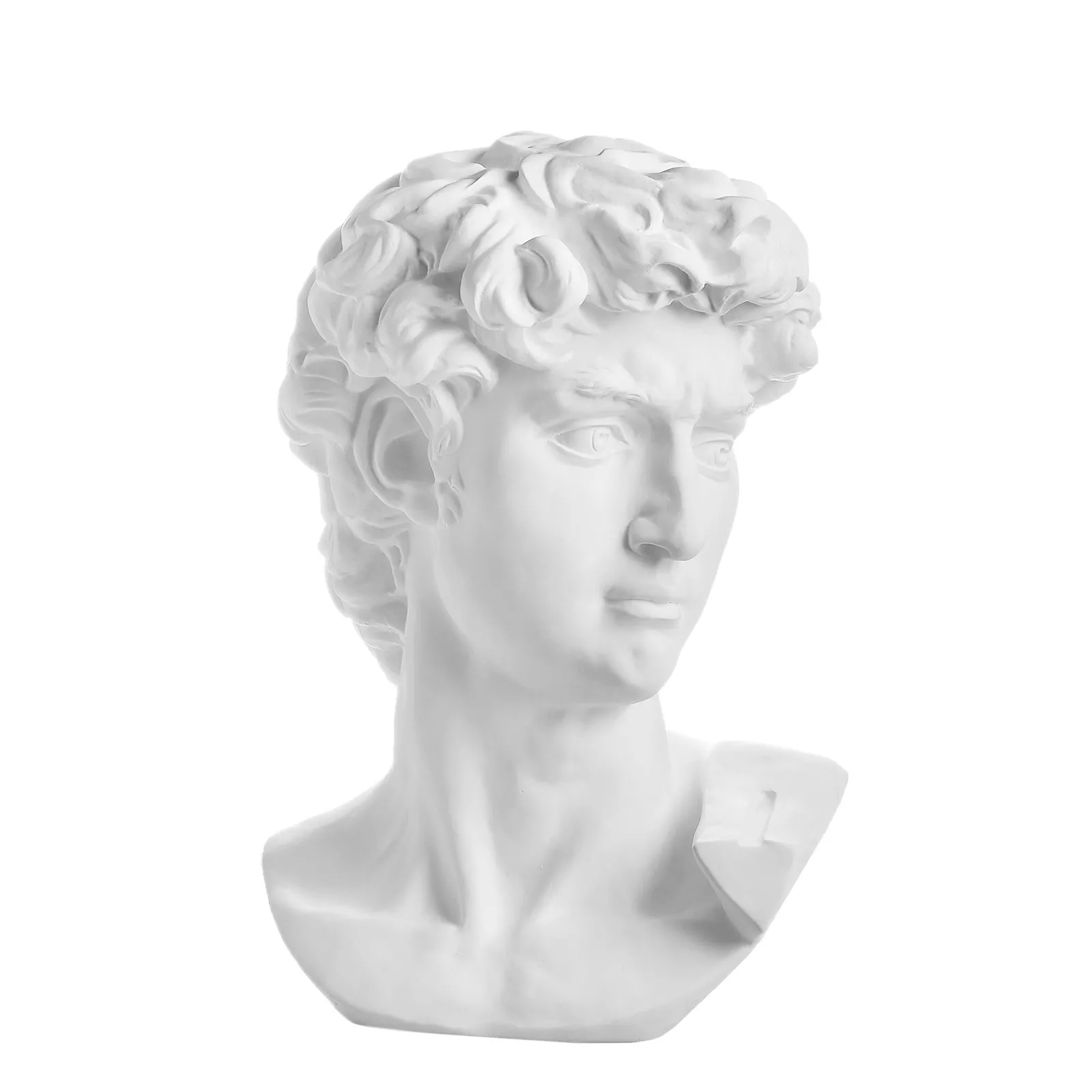 Голова Давида фото 7